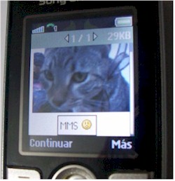 Mensaje MMS en un terminal móvil.